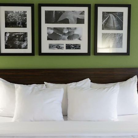 Sleep Inn & Suites Belmont - St. Clairsville Eksteriør billede